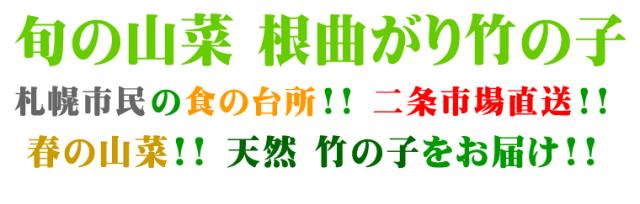 北海道産 天然 竹の子