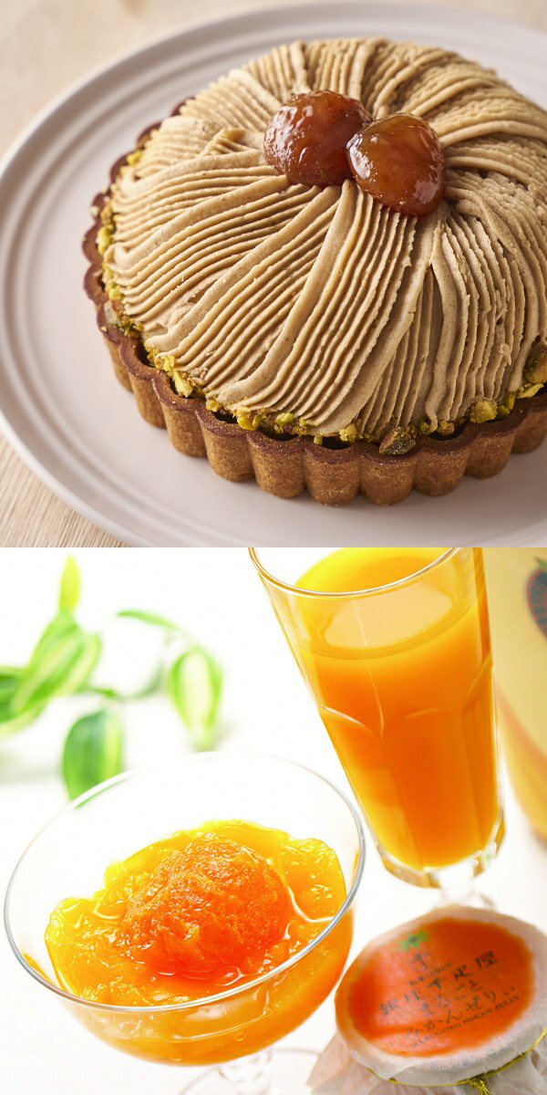 代表商品イメージ