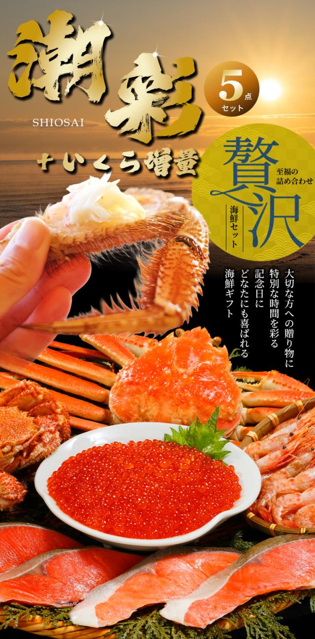 潮彩+いくら増量