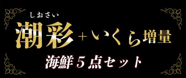 潮彩+いくら増量