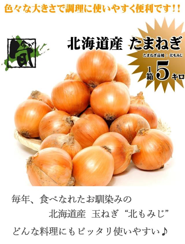 北海道産 玉ねぎ 5kg