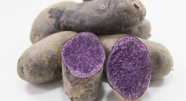 シャドークイーン