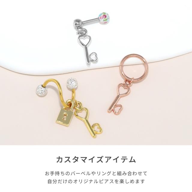 カスタマイズアイテム