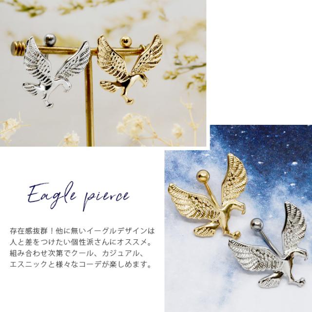 クールなワシタカ