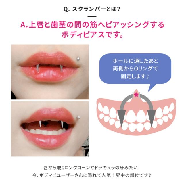 凛からついに登場