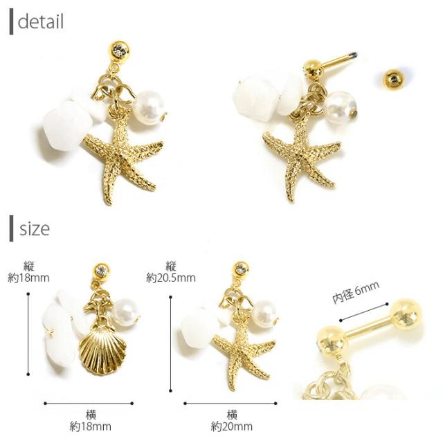 シェルとヒトデどちらも可愛い