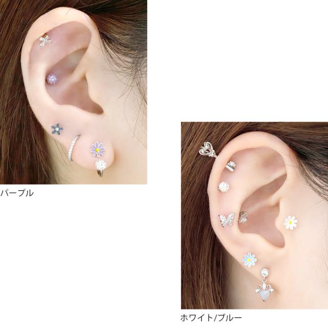 ブルー パープル