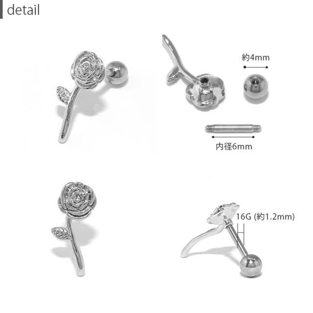 豊富なバリエーション