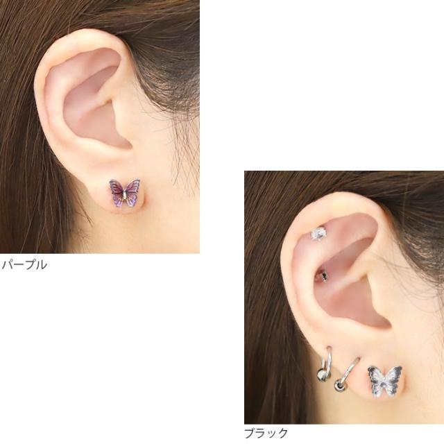 お耳で羽ばたく