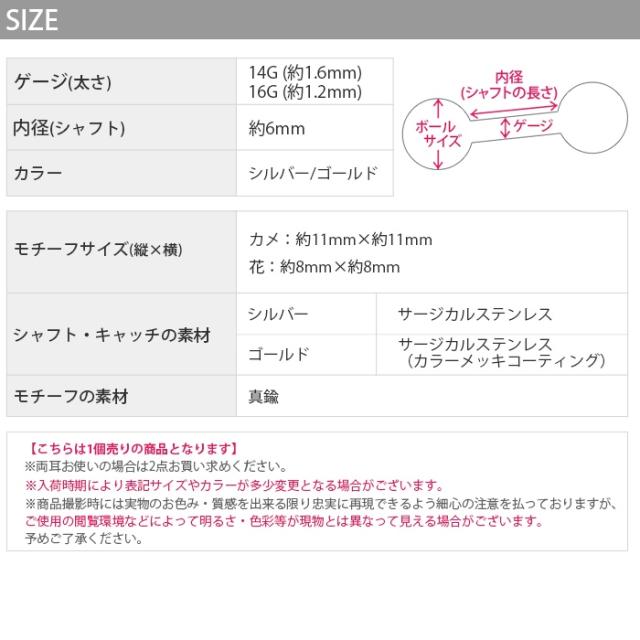 年中常夏ハワイアン