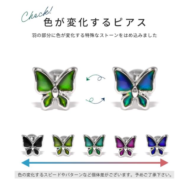 ミステリアスな蝶々