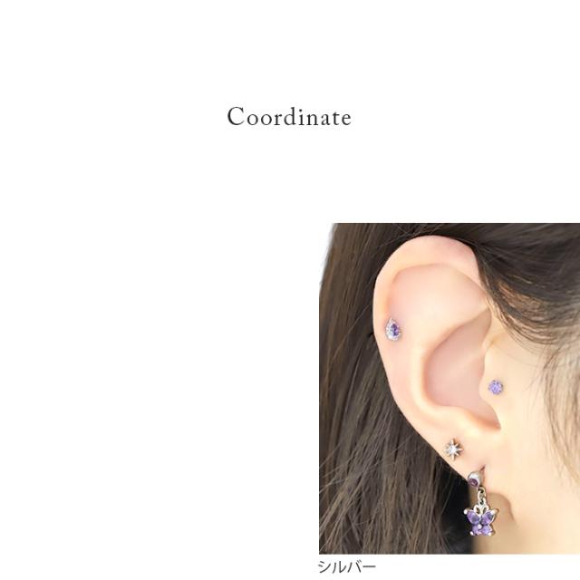 サージカルステンレス素材