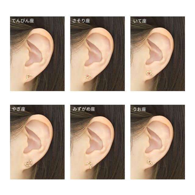 水瓶座・みずがめ座