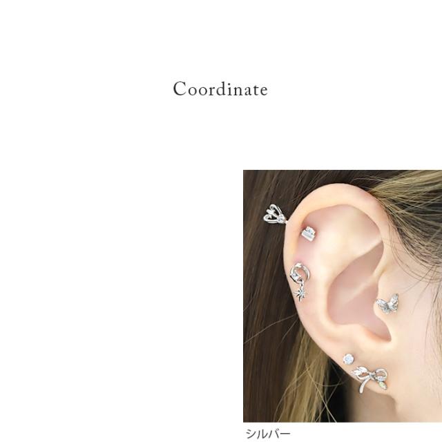 サージカルステンレス素材