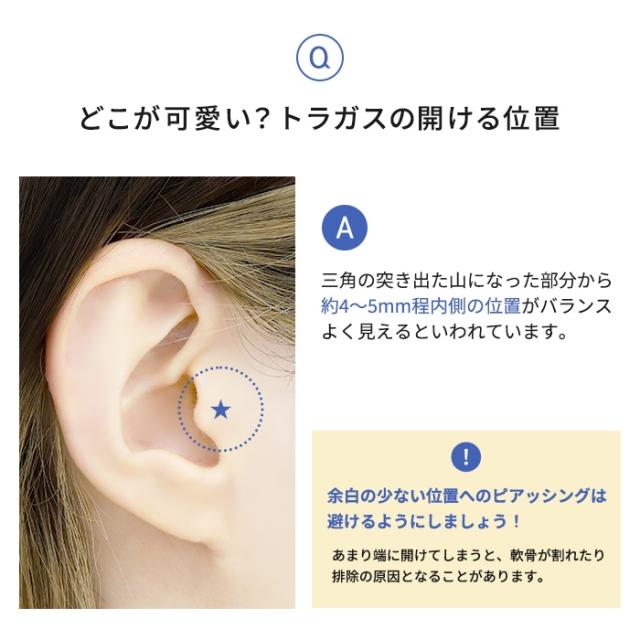 トラガス へリックス