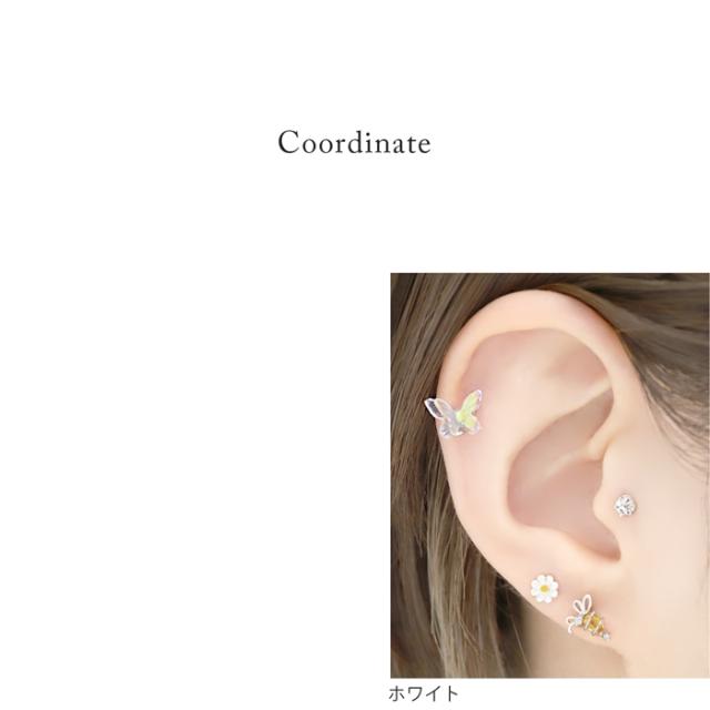 かわいいサイズ感