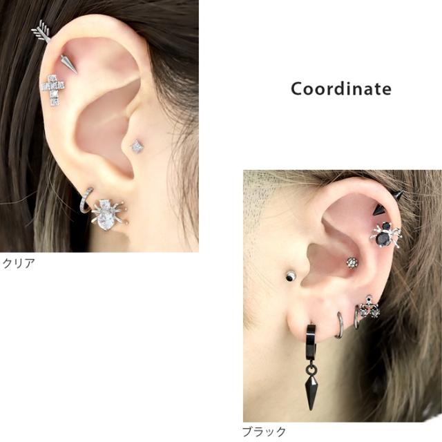 高級感のある蜘蛛