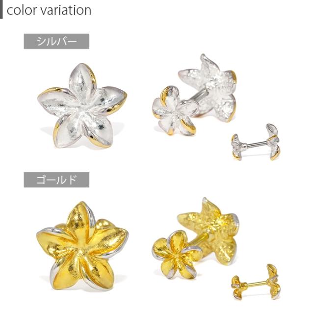 どっちもモチーフ♪