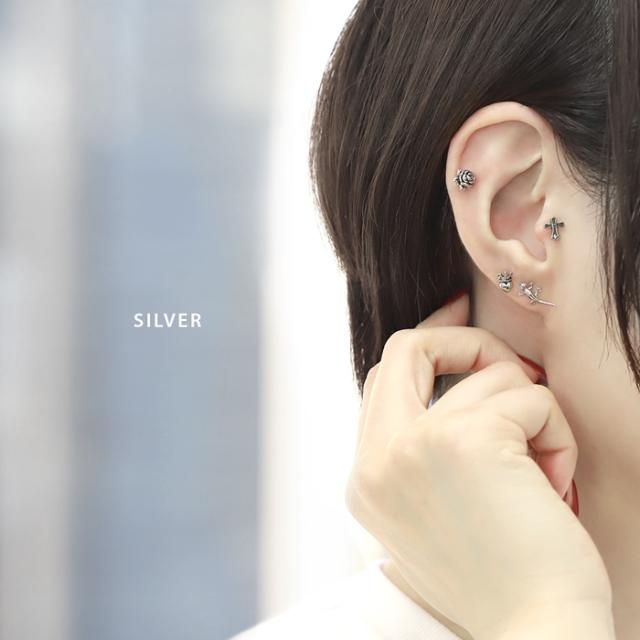 いきものコーディネート