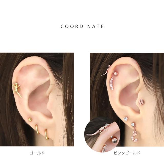 お耳に遊びにきたみたい