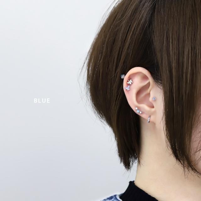 パピヨンモチーフ