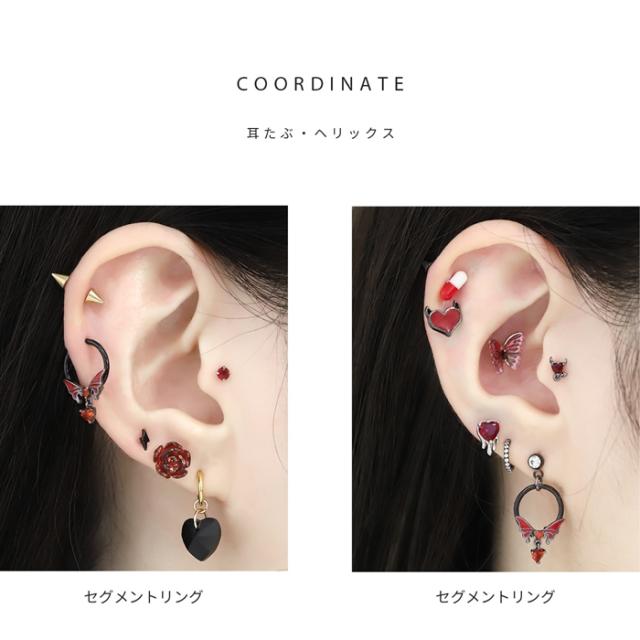 セグメントリング