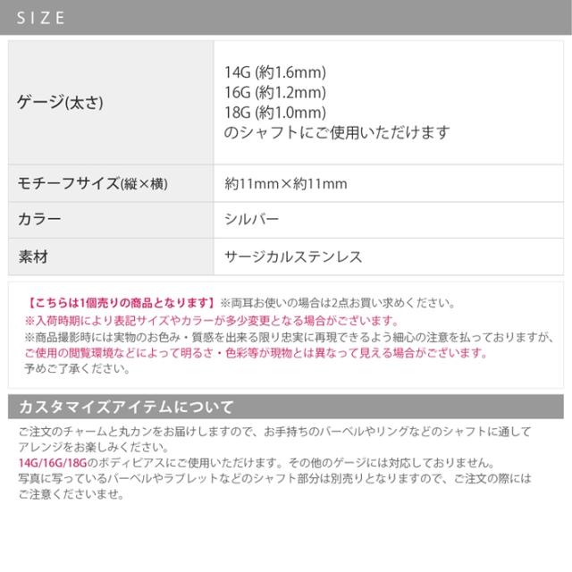 サージカルステンレス素材