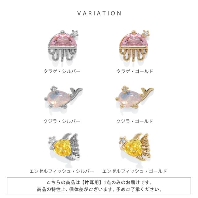 クラゲ・クジラ・エンゼルフィッシュ