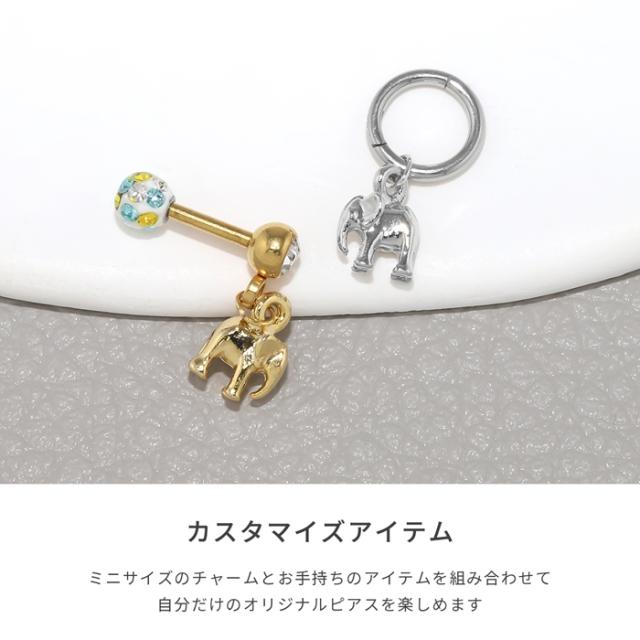 カスタマイズアイテム