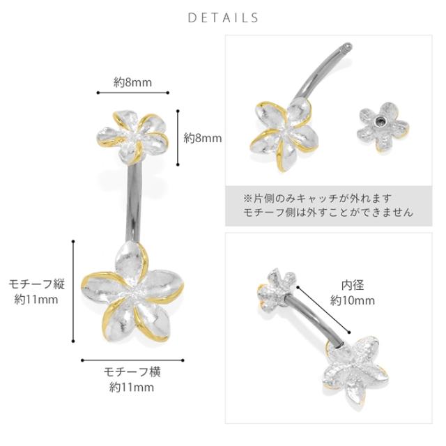 おへそだけじゃもったいない！！