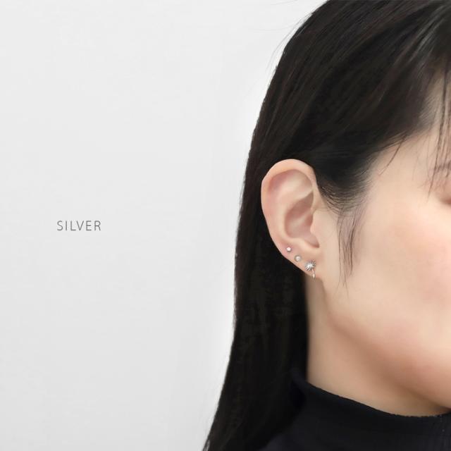 タンポポの綿毛の繊細さを表現