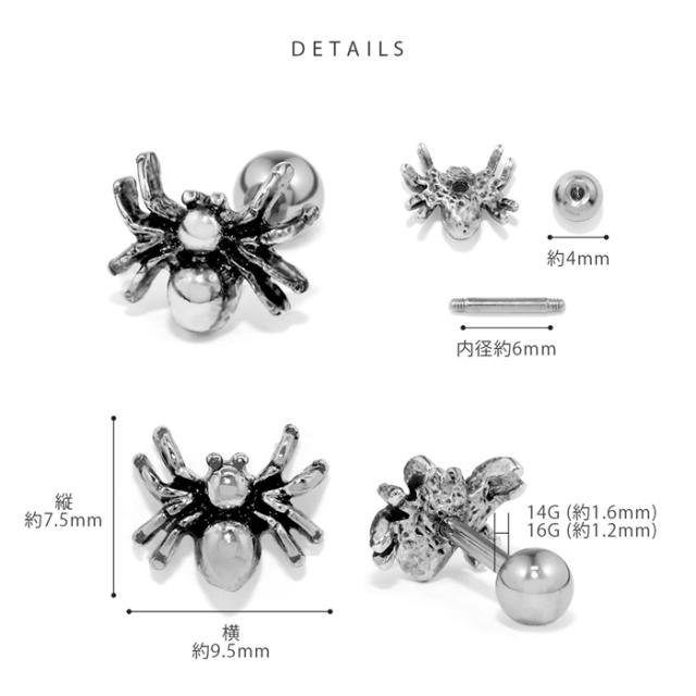 イベントにもおすすめ
