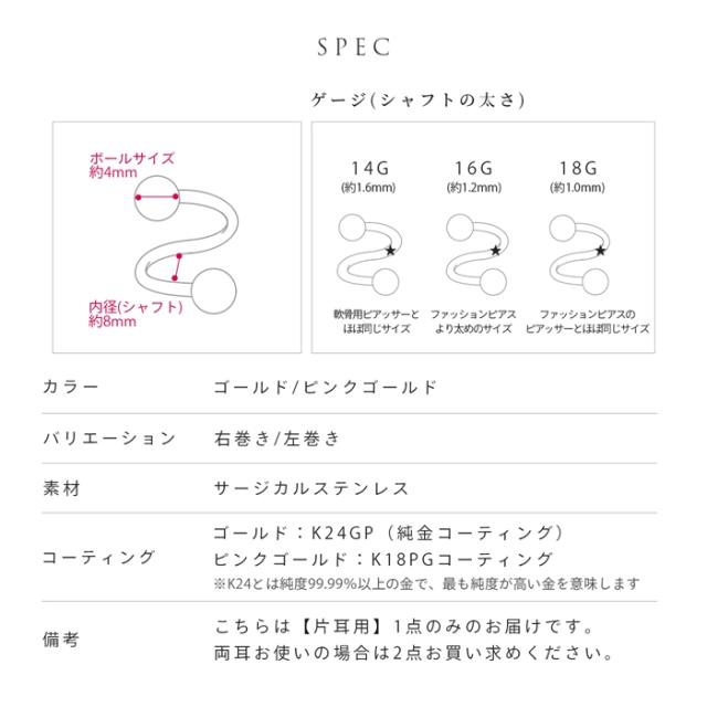 洗練された一品