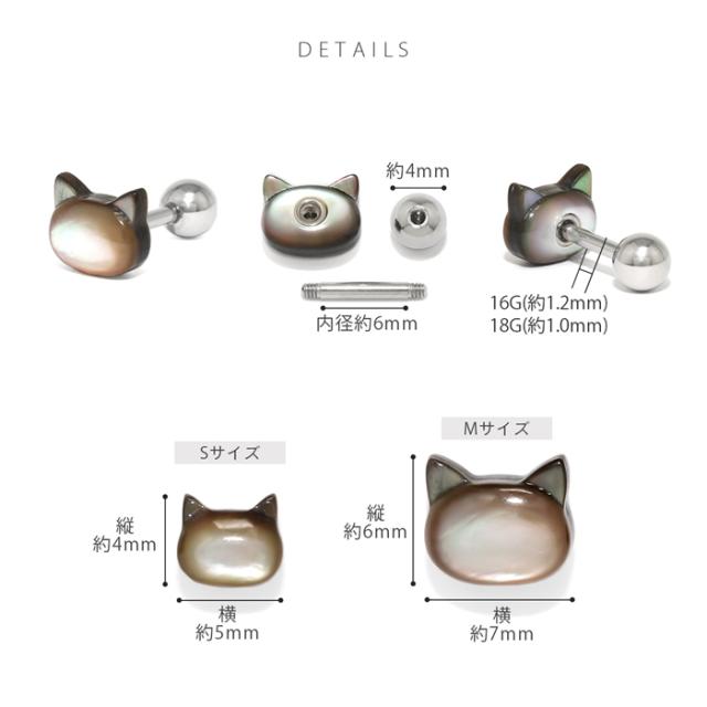 シェルが輝く♪