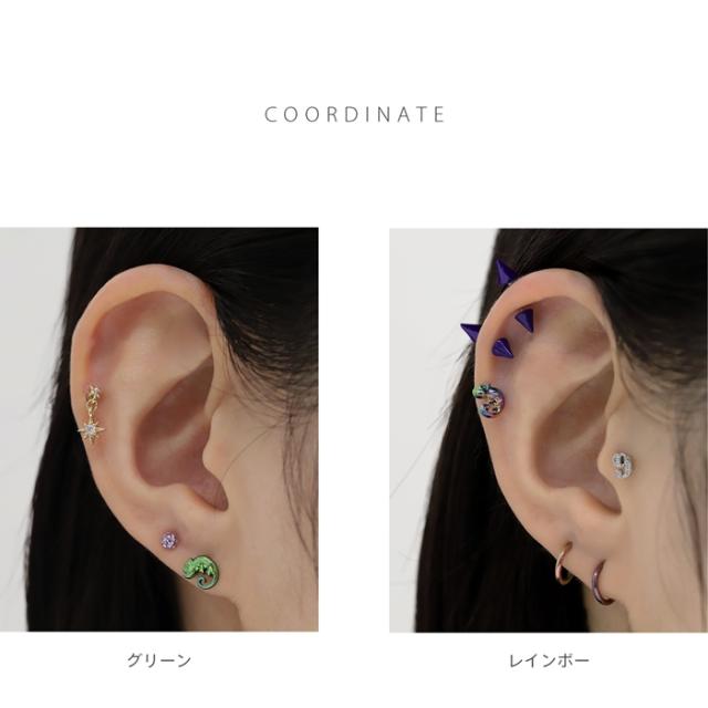爬虫類好きにおすすめ