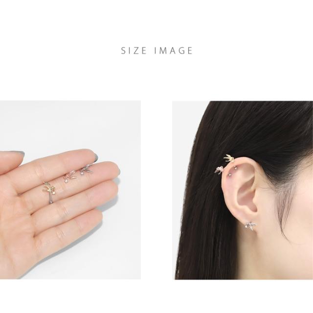 アンテナにオススメ★