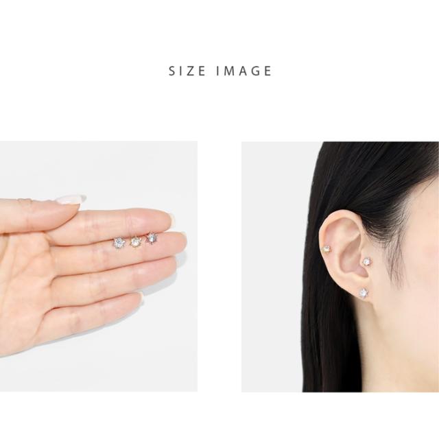 エレガントな輝き