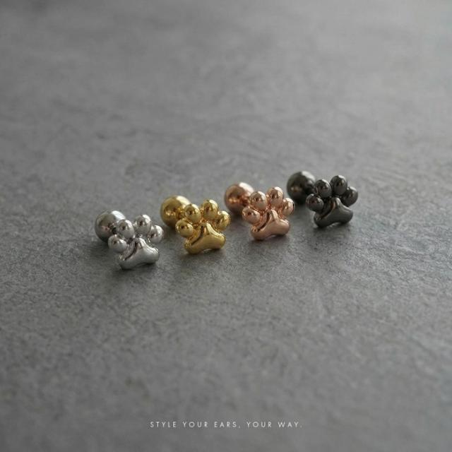 愛らしい動物のにくきゅう