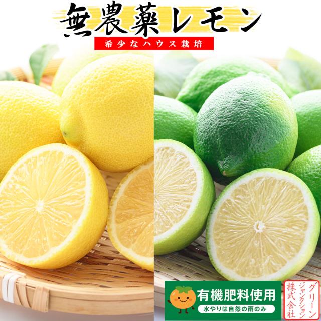 国産グリーンレモン 無農薬