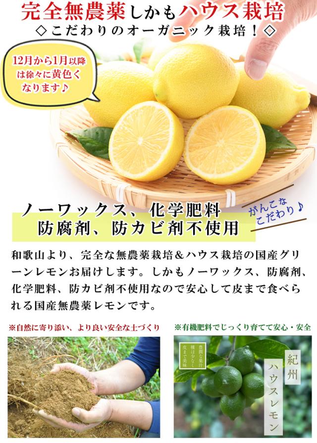 グリーンレモン ハウス栽培 特徴