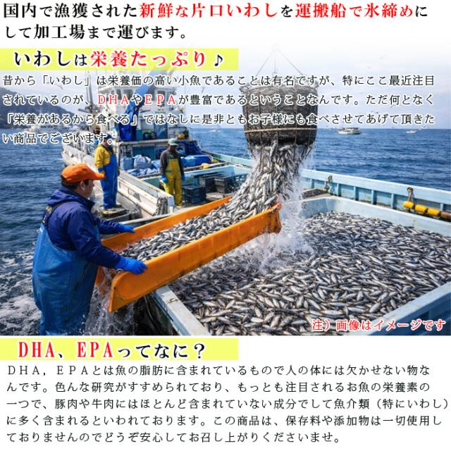 国内で漁獲された片口いわし