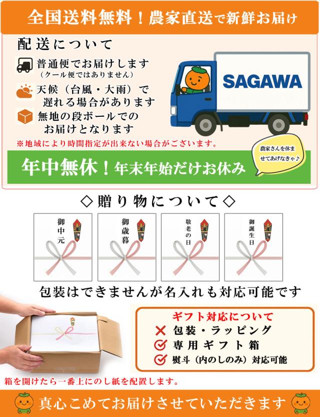 グリーンレモン ギフト配送