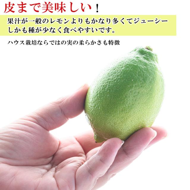 希少な国産グリーンレモン