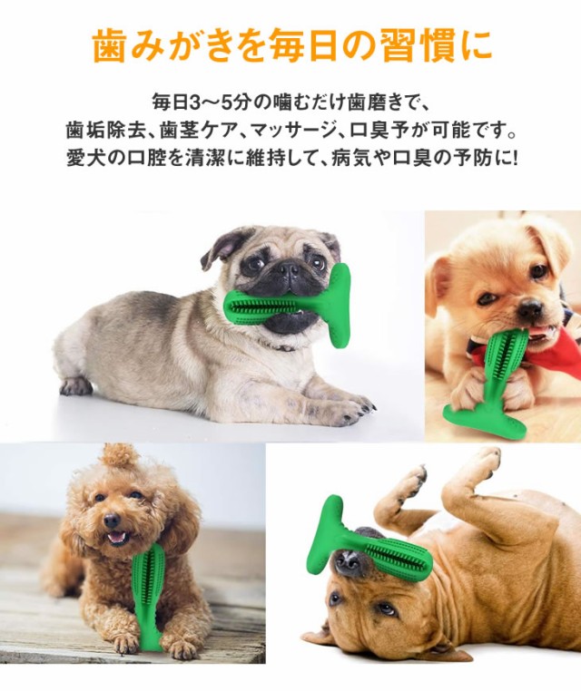 犬用歯ブラシ 360 設計 噛んで遊びながら歯磨き 犬 歯磨き 歯みがき デンタルケア おもちゃ Sサイズ 小型犬用 代金引換不可の通販はau Pay マーケット アウトレットファニチャー Au Pay マーケット 犬用歯ブラシ 360 設計 噛んで遊びながら歯磨き 犬 歯磨き 歯みがき デンタルケア おもちゃ Sサイズ 小型犬用 代金引換不可の通販はau Pay マーケット アウトレットファニチャー Au Pay マーケット