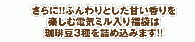 さらに!!ふんわりとした