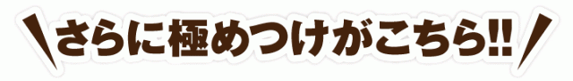 60杯分も入って特別価格!