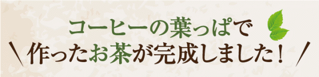 コーヒーの葉っぱで作ったお茶が完成しました