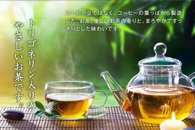 やさしいお茶です。