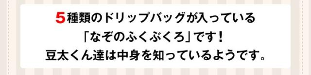 5種のドリップバッグが50個ずつ入っている「なぞのふくぶくろ」です!
