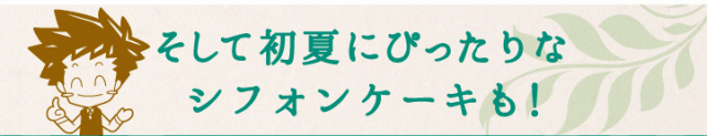そして今月限定のシフォンも